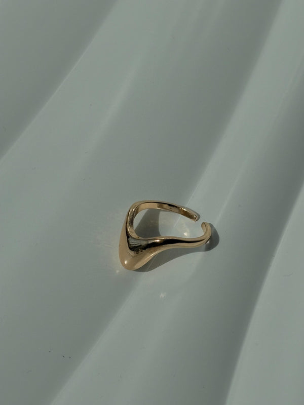 Golden Whispers Rings
